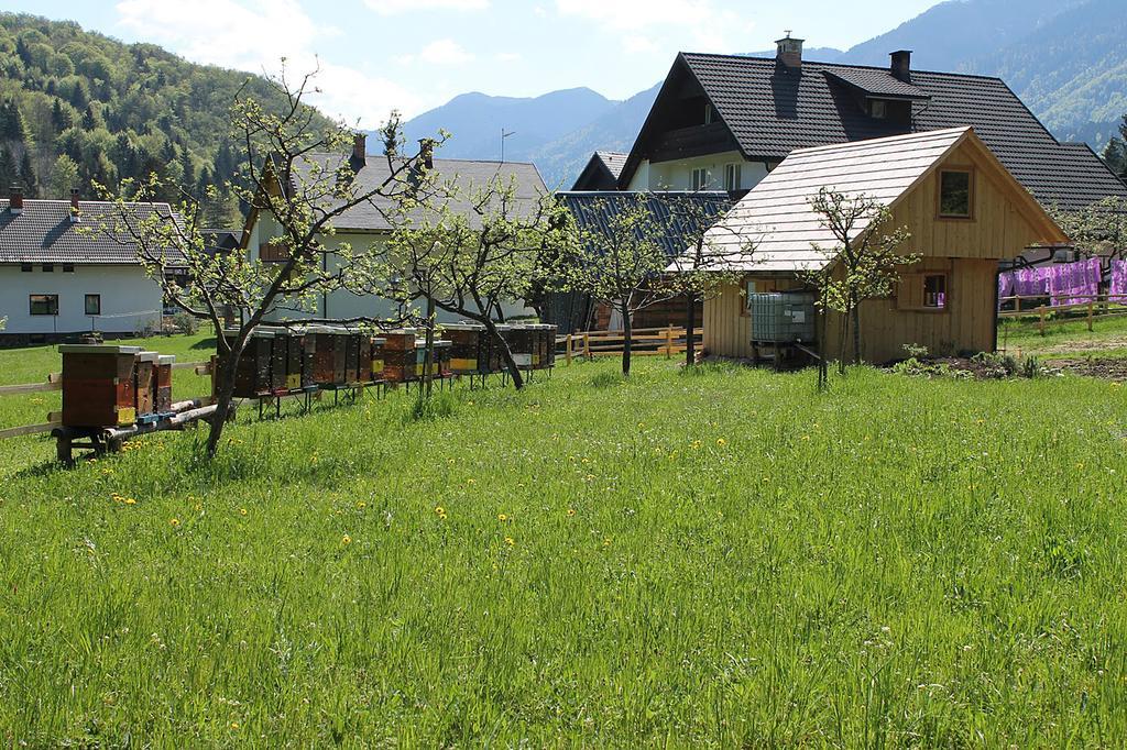 Apartments And Rooms Cerkovnik Bohinj Exterior foto