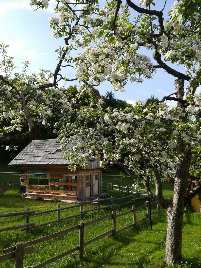 Apartments And Rooms Cerkovnik Bohinj Exterior foto